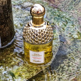 Aqua Allegoria Pamplelune - Guerlain