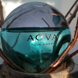 Cool Water Into the Ocean - Davidoff