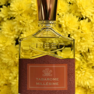 Tabarome Millésime von Creed