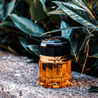 Faïsa - Ramón Monegal