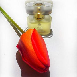 Pure White Linen (Eau de Parfum) - Estēe Lauder