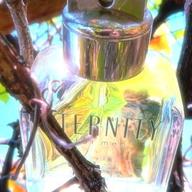 Eternity for Men (Eau de Toilette) - Calvin Klein