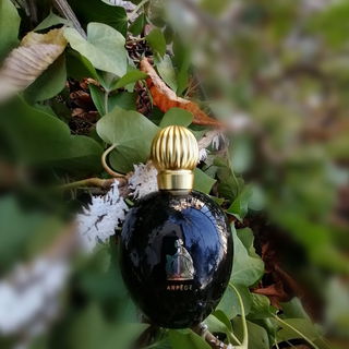 Arpège (1993) (Eau de Parfum) von Lanvin