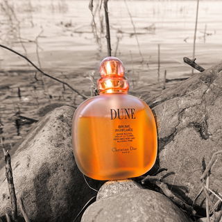 🧡 Steindüne 🧡 Lieben Dank für die vielen schönen Kommentare 🧡