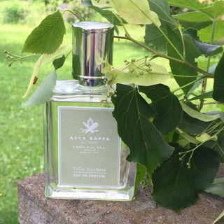 Tilia Cordata - Acca Kappa