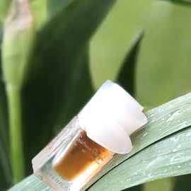 Tristano Onofri (Eau de Parfum) - Tristano Onofri