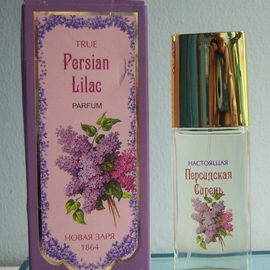Lilas Persan / True Persian Lilac - Nóvaya Zaryá / Новая Заря