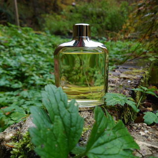 Classic Gold - Jaguar