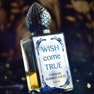 My wish has finally come true!