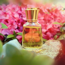 Kisses Rain - Renier Perfumes