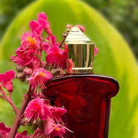Casamorati - Bouquet Ideale (Eau de Parfum) - Xerjoff