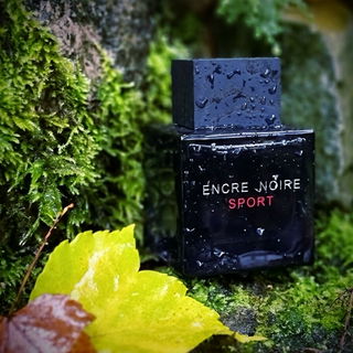 Encre Noire Sport von Lalique