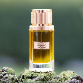 Oud Malaki - Chopard