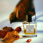 Ein bisschen Lippenleder.Ein bisschen Patchbitch. Ein bisschen Zimtkakao. Ein bisschen Cognac 21°C . Unterm Reißverschluss kein Biber.Mit jedem Sprüher mag ich diesen Duft lieber.Dankeschön allen (by Seejungfrau)