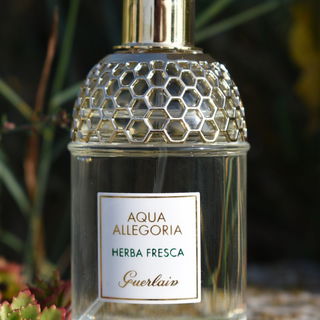 Aqua Allegoria Herba Fresca by Guerlain