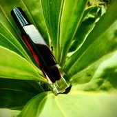 Die Natur ist einfach die beste Kulisse :-) (by Rosie88)