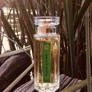 Fleur de Liane - L'Artisan Parfumeur