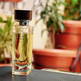 Convivio (Eau de Toilette) - Salvatore Ferragamo