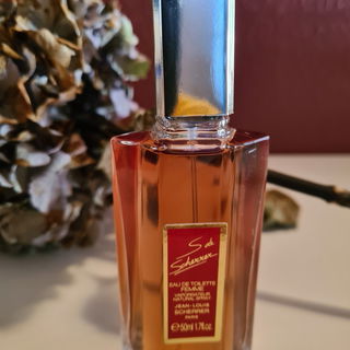 Blüten, Blüten, Blüten 🧡💛💛🧡