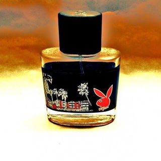 Miami - Playboy