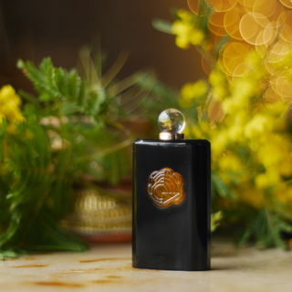 Nocturnes (1981) (Parfum) - Caron