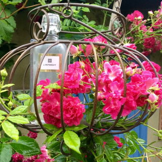 L'Interdit (2007) von Givenchy