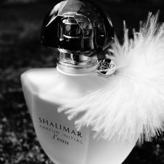 Noir (Eau de Parfum) - Tom Ford