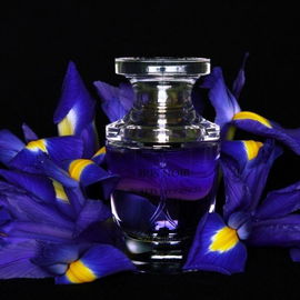 Secrets d'Essences - Iris Noir (Eau de Parfum) - Yves Rocher