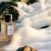 schwupps, die Welle nahm ihn mit ins Meer... aber nur kurz ;) Ich danke euch für eure lieben Worte :) (von EveMist)