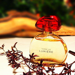 Terre de Lumière (Eau de Parfum) - L'Occitane en Provence