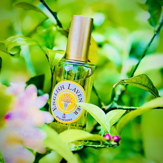 English Lavender / English Lavender Water - Atkinsons