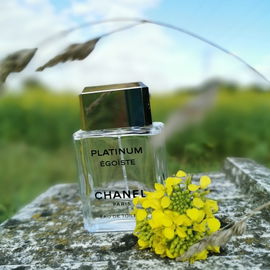 Signaturduft Herr Lavendel :)