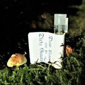 Früchte der Waldnacht (by Floyd)