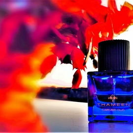 Carved Oud (Extrait de Parfum) - Thameen