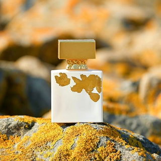 Ylang In Gold Edition Speciale von M. Micallef