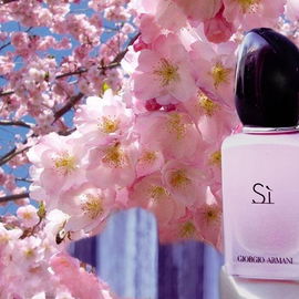 Sì (Fiori Eau de Parfum) - Giorgio Armani