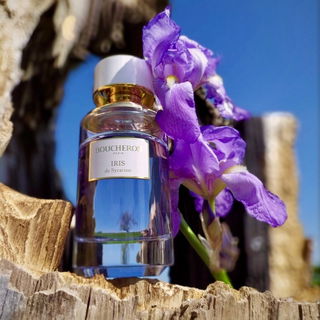 Iris de Syracuse - Boucheron
