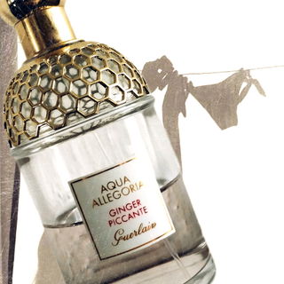 Aqua Allegoria Ginger Piccante von Guerlain