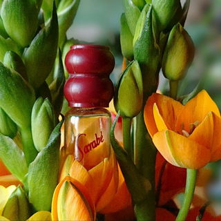 Sarabé (Eau de Toilette) - Juvena