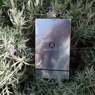 Reflections - und der Lavendel spiegelt sich