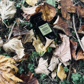 Fougère d'Argent - Tom Ford
