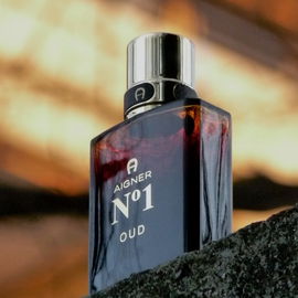 Aigner N°1 Oud - Aigner