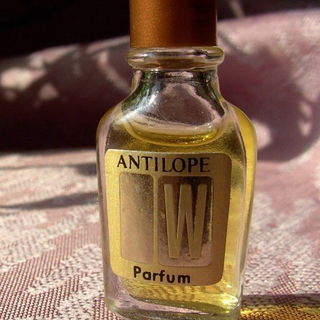 Antilope (Parfum) von Weil