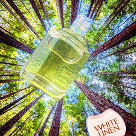 Man liegt auf einem Moosbett im Wald, die Hände hinterm Kopf, schaut in den Himmel und eine Auswahl schönster Düfte fliegt langsam vorbei ...  (Danke Pistazieneis)