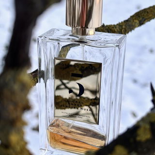 5 - Floral, Amber, Sensual Musk (Eau de Parfum) by Rosendo Mateu - Olfactive Expressions