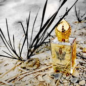 ...Nebelgeflüster in der Taklamakan... Vielen Dank für Eure lieben Fotobesuche und anerkennenden Worte!!:-)) (by LaVioletta)