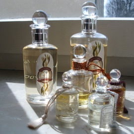 Lily & Spice (Eau de Parfum) - Penhaligon's