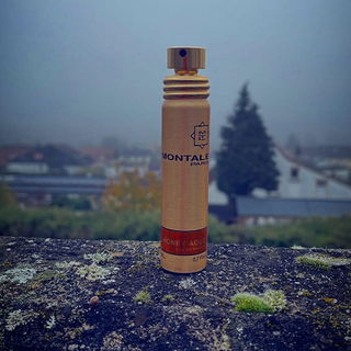 Honey Aoud by Montale