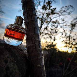 Sie geht  und Licht bleibt in der Luft, ein goldner Tanz, ein süßer Duft. Mandel küsst die Sonne sacht, ein Lächeln, das die Welt entfacht.  Kein Schritt zu laut, kein Blick zu klein, sie glänzt sie ist: Girl of Now Shine ☀️