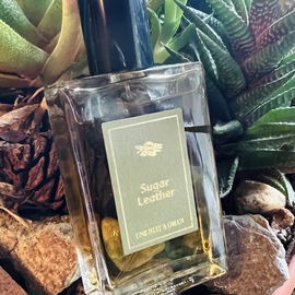 by ScentXpress